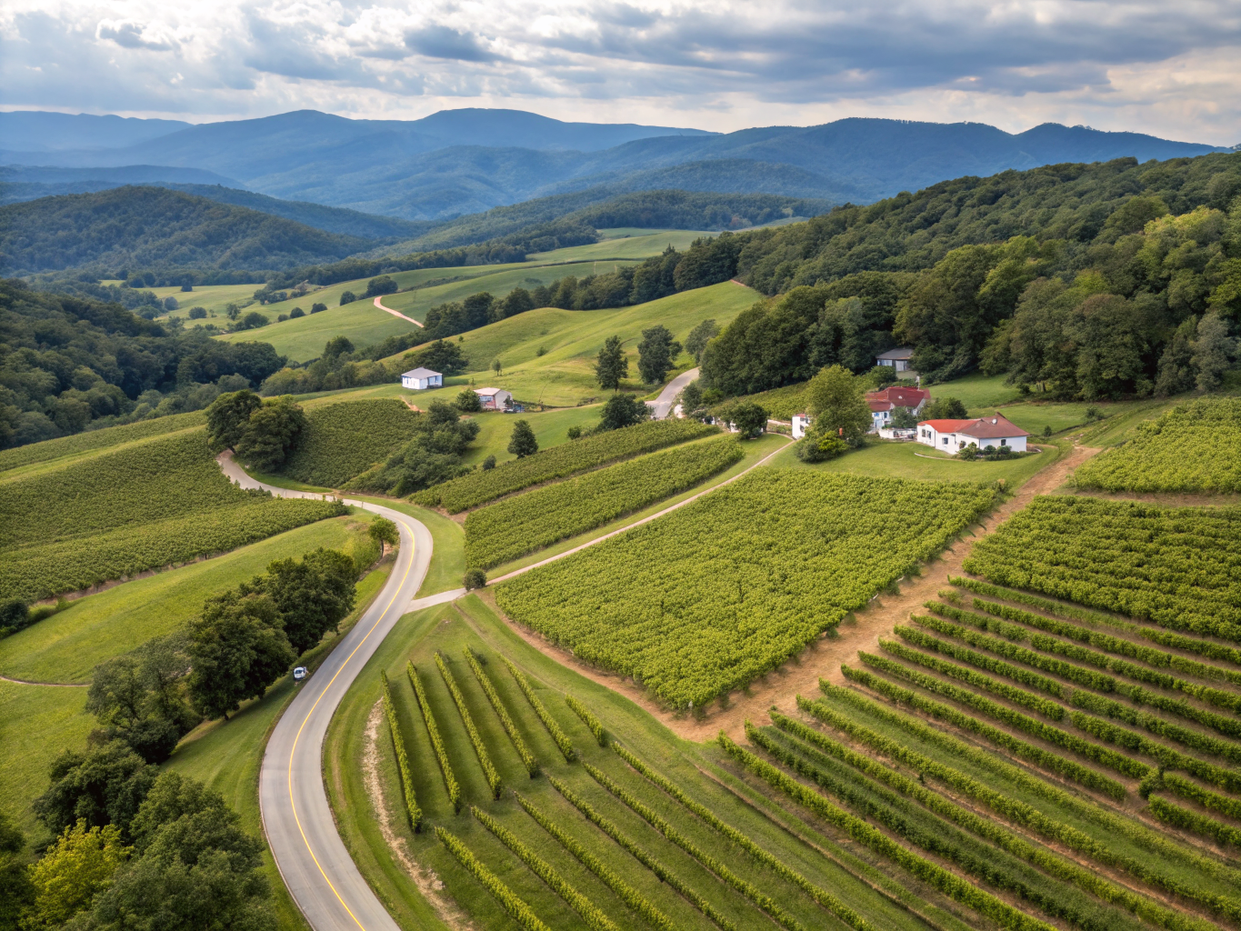 Nelson County Wine Trail